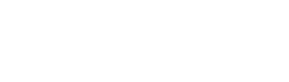 BXV logo