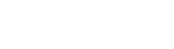 BXV logo